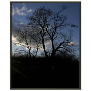 Cole Harbour Heritage Park (2) Premium Semi-Glossy Paper Metal Framed Poster 16" x 20"