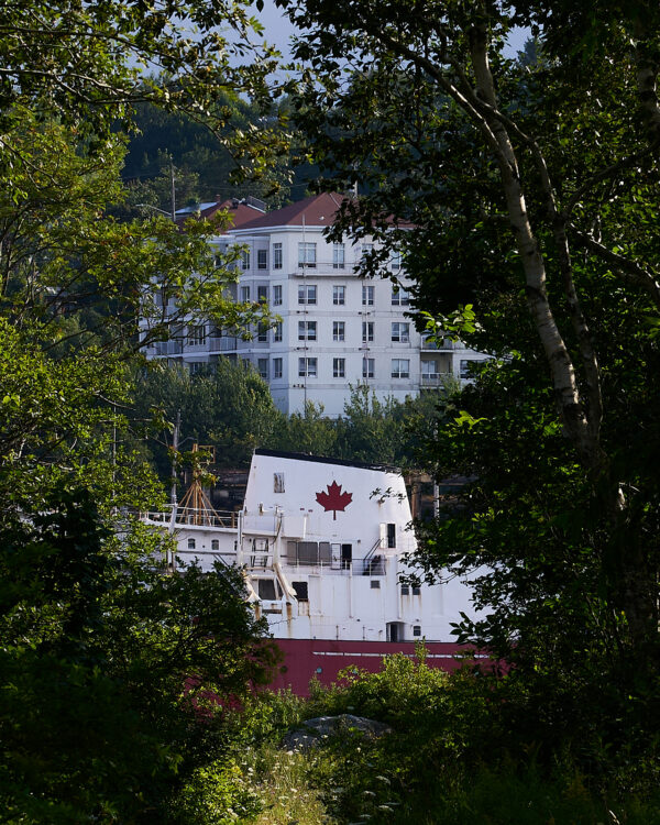 Coast Guard Vessel and Trees