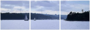 The Northwest Arm Aluminum Print Triptych