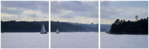 The Northwest Arm Wood Print Triptych