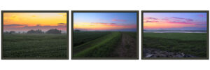 Sunset Over Wolfville Metal Framed Poster Triptych