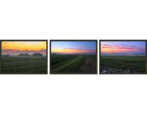 Multi-Panel Art Bundles