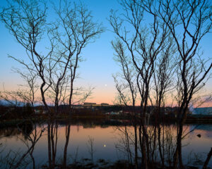 Tufts Cove at Sunset