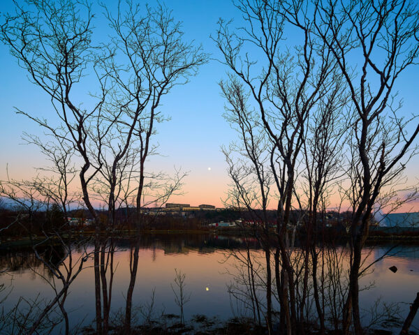 Tufts Cove at Sunset