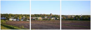 Wolfville and Acadia University Aluminum Print Triptych