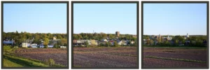 Wolfville and Acadia University Metal Framed Poster Triptych