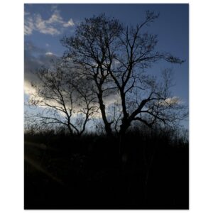 Cole Harbour Heritage Park (2) Aluminum Print 16" x 20"