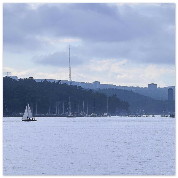 The Northwest Arm (Center) Aluminum Print 12" x 12"