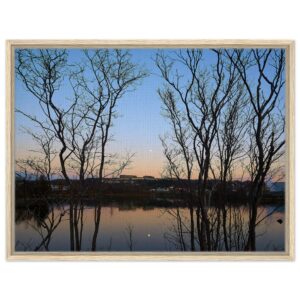 bc4401b6-24aa-4a64-af9c-012c8314768a