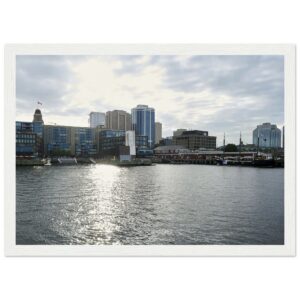 bc5d5395-3c22-4801-92b4-656584367640