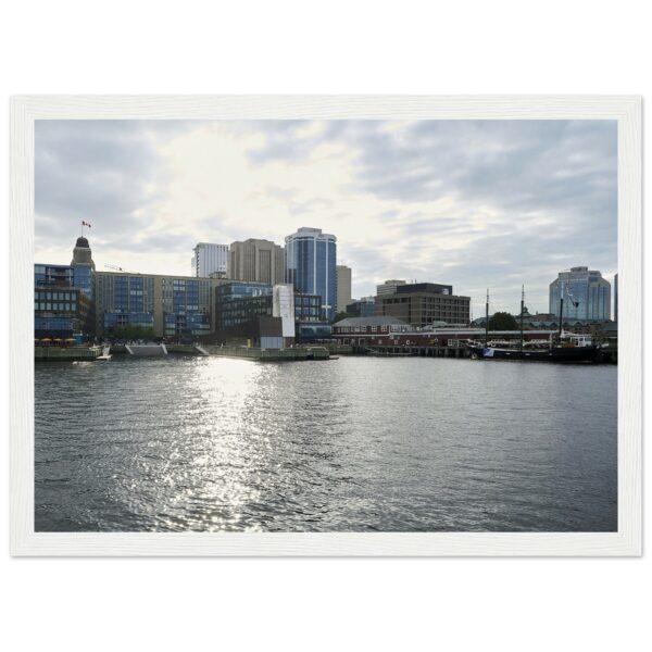 bc5d5395-3c22-4801-92b4-656584367640
