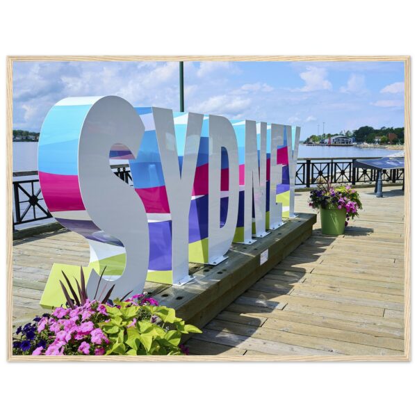 c51ace31-f98a-4535-8506-2066c38ce2a1