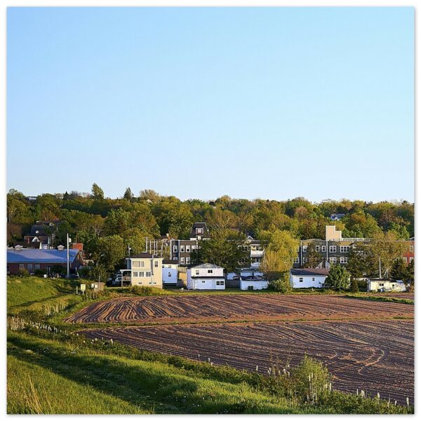 Wolfville and Acadia University (Left) Aluminum Print 12" x 12"