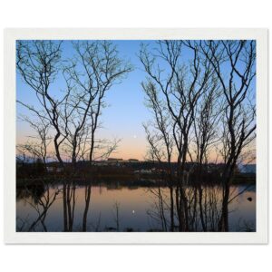 cf136d41-f4fd-4902-9ec9-c717748d6ae6