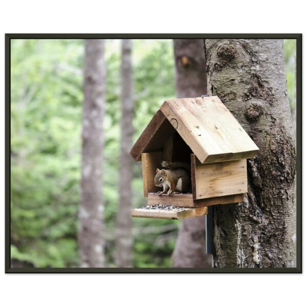 Squirrel in Birdhouse Premium Semi-Glossy Paper Metal Framed Poster 16" x 20"