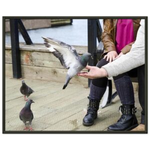 Halifax Waterfront (3) Premium Semi-Glossy Paper Metal Framed Poster 16" x 20"