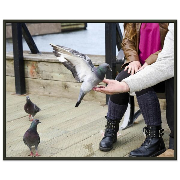 Halifax Waterfront (3) Premium Semi-Glossy Paper Metal Framed Poster 16" x 20"
