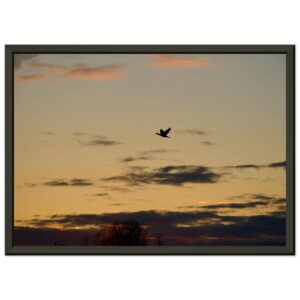 df1d9f73-6347-47c5-9476-ea0f22ece249