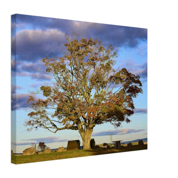 e170ea74-1cd8-4b47-ad0c-08b15deb4ab9