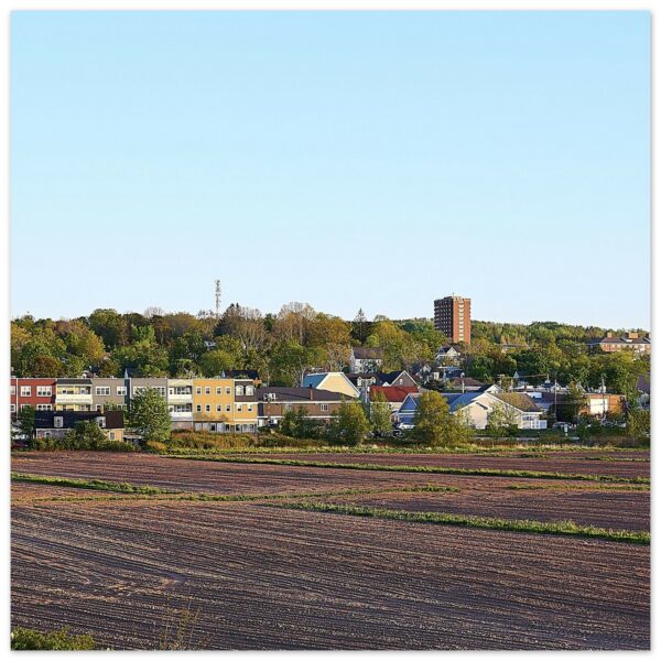 Wolfville and Acadia University (Center) Aluminum Print 12" x 12"