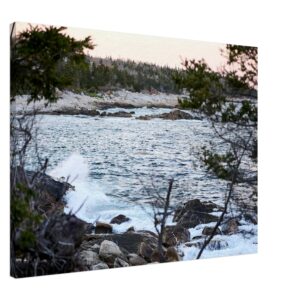 3f36753d-9a03-4223-8188-50ec6bdf83af