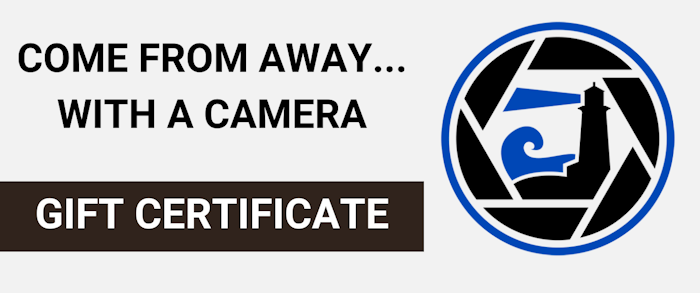 Come From Away... With a Camera Gift Certificate