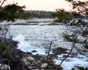 Herring Cove